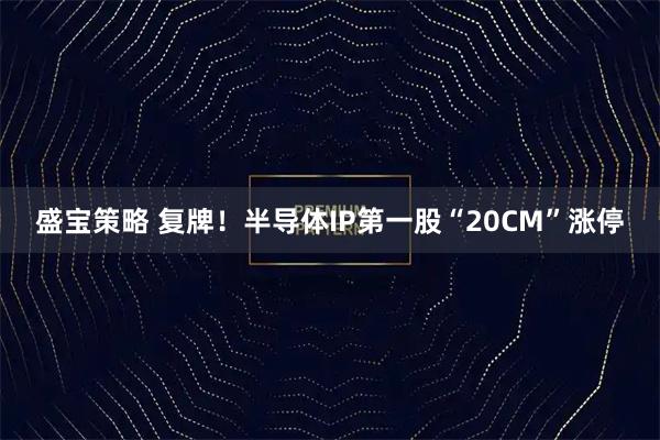 盛宝策略 复牌！半导体IP第一股“20CM”涨停