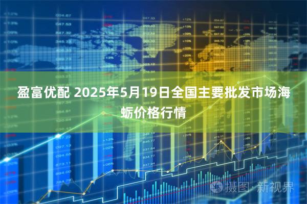 盈富优配 2025年5月19日全国主要批发市场海蛎价格行情