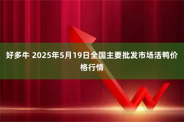 好多牛 2025年5月19日全国主要批发市场活鸭价格行情