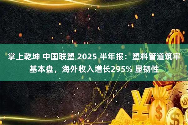 掌上乾坤 中国联塑 2025 半年报：塑料管道筑牢基本盘，海外收入增长295% 显韧性