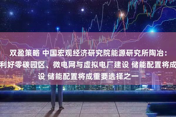 双盈策略 中国宏观经济研究院能源研究所陶冶：绿电直连政策利好零碳园区、微电网与虚拟电厂建设 储能配置将成重要选择之一